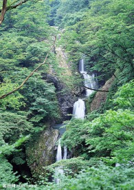 瀑布溪流树林河水(老牛爱吃嫩草上传)