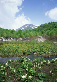 瀑布溪流树林河水(老牛爱吃嫩草上传)