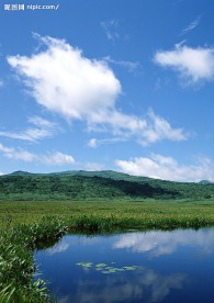 瀑布溪流树林河水(老牛爱吃嫩草上传)