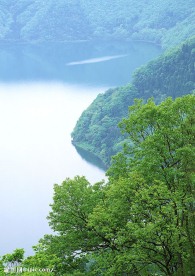 瀑布溪流树林河水(老牛爱吃嫩草上传)
