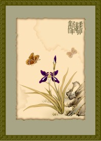 蝴蝶飞-国画矢量图