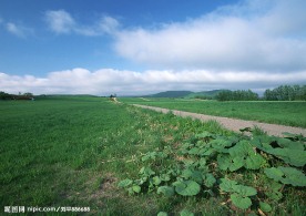 道路美景