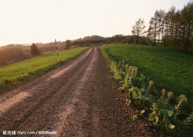 道路美景