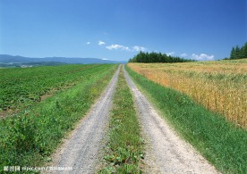道路美景