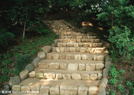 道路美景