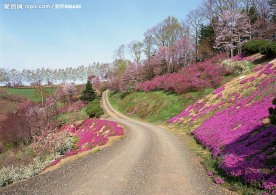 道路美景