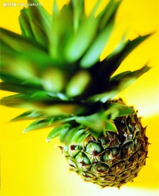 夏日标记