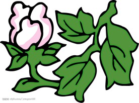 彩色花纹图案(498)