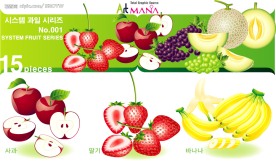 水果系列1