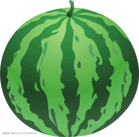 矢量水果
