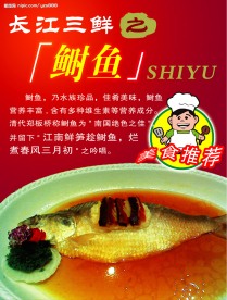 酒店海报