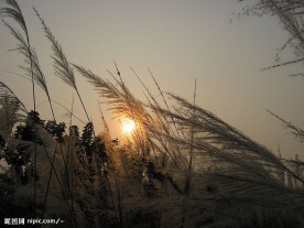 乐山风光之夕阳