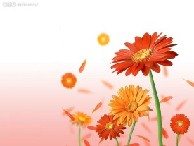 背景鲜花