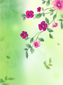 韩国设计花纹