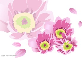 矢量花纹素材