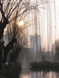 夕阳下的包河