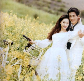 婚礼素材