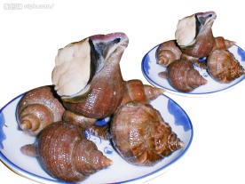响螺