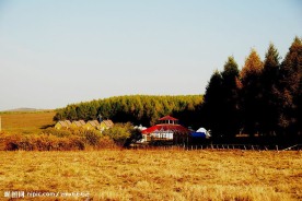 草原风景