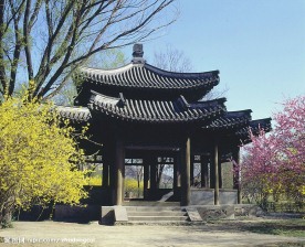 古代宫廷