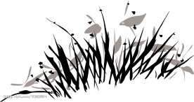 小草