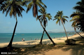 椰风海韵4