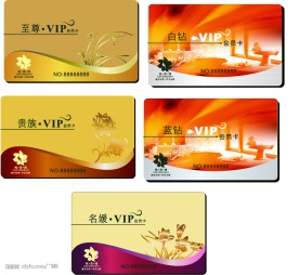 矢量 VIP 卡片