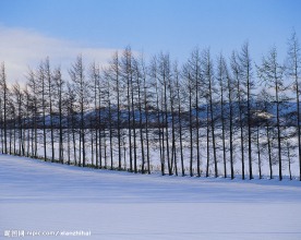 冬天雪景