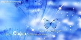 婚纱分层PS素材0003