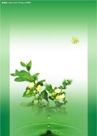 茉莉花茶
