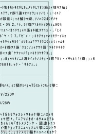 节能灯宣传单折页