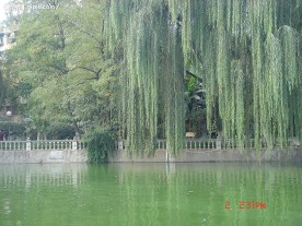 公园池塘