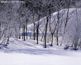 冬天雪景