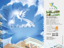 房地产楼书