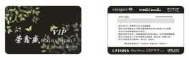 VIP卡2
