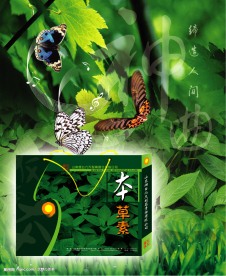 中药包装设计