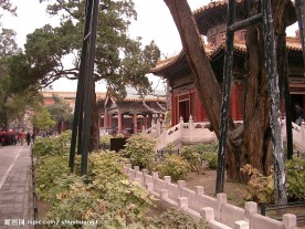 旅游图片