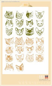 猫猫2