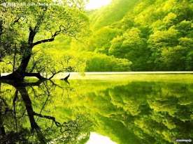 宁静的湖水