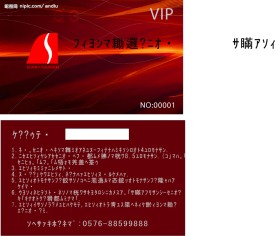 酒店VIP卡