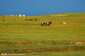 草原风光