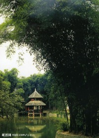 四川 眉山三苏祠 竹林 建筑景观