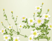 2008最新花纹矢量图