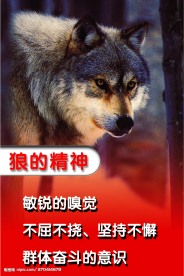 企业精神