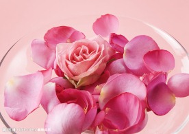 婚礼鲜花