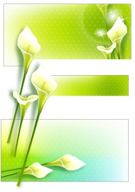 2008最新潮流花纹矢量图