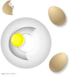 矢量鸡蛋