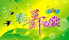 春舞霓裳