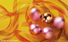 节日礼物