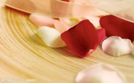 节日礼物